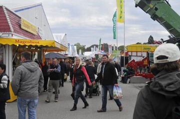 Freigelnde