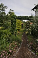 Im Garten von Elsbeth Mayer