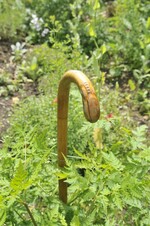 Im Garten von Lonie Geigle