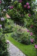 Im Rosengarten Sinneszauber von Andrea Heckmann