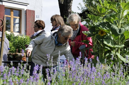 Im Landgarten von Elke Zimmermann und Michael Nickel
