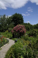Der ländliche Bauerngarten von Petra Boppert