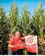 Anbauerfolg mit guter Genetik und Wachsstums-Stimulanz.