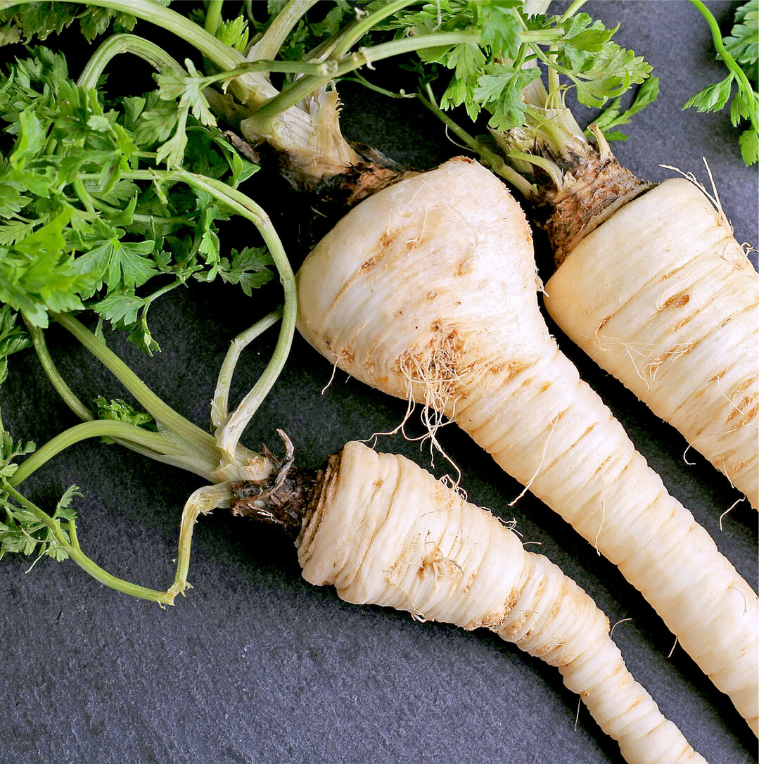 Pastinake oder Petersilienwurzel? Petersilienwurzeln sind im Kopfbereich meist zwischen drei und fünf Zentimetern dick und maximal 20 Zentimeter lang. Eine Pastinake (Foto) dagegen kann auch mal länger sein und hat vor allem ein deutlich dickeres Kopfteil. Das beste Unterscheidungskriterium ist aber neben dem Blattansatz Bei der Pastinake sieht er aus wie eingesunken, während er bei der Petersilienwurzel nach oben gewölbt ist der Duft: Die Pastinake duftet nach Möhren und hat eine angenehm nussig-herbe Süße. Nach dem ersten Frost schmeckt sie sogar noch milder und süßer. Die Petersilienwurzel hingegen riecht und schmeckt unverkennbar gut nach Petersilie mit einer leichten Anis-Note. Damit ist sie eine ideale Zutat in Suppen und Eintöpfen und traditioneller Bestandteil im klassischen Suppengrün.