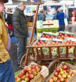 An drei Messetagen bietet die Fruchtwelt Bodensee Gelegenheit zur Information über die neuesten Trends bei Sorten und in der Anbautechnik für den Obstbau.