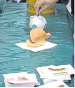 Der landesweite Erlös geht an das Kinderhospiz Stuttgart.