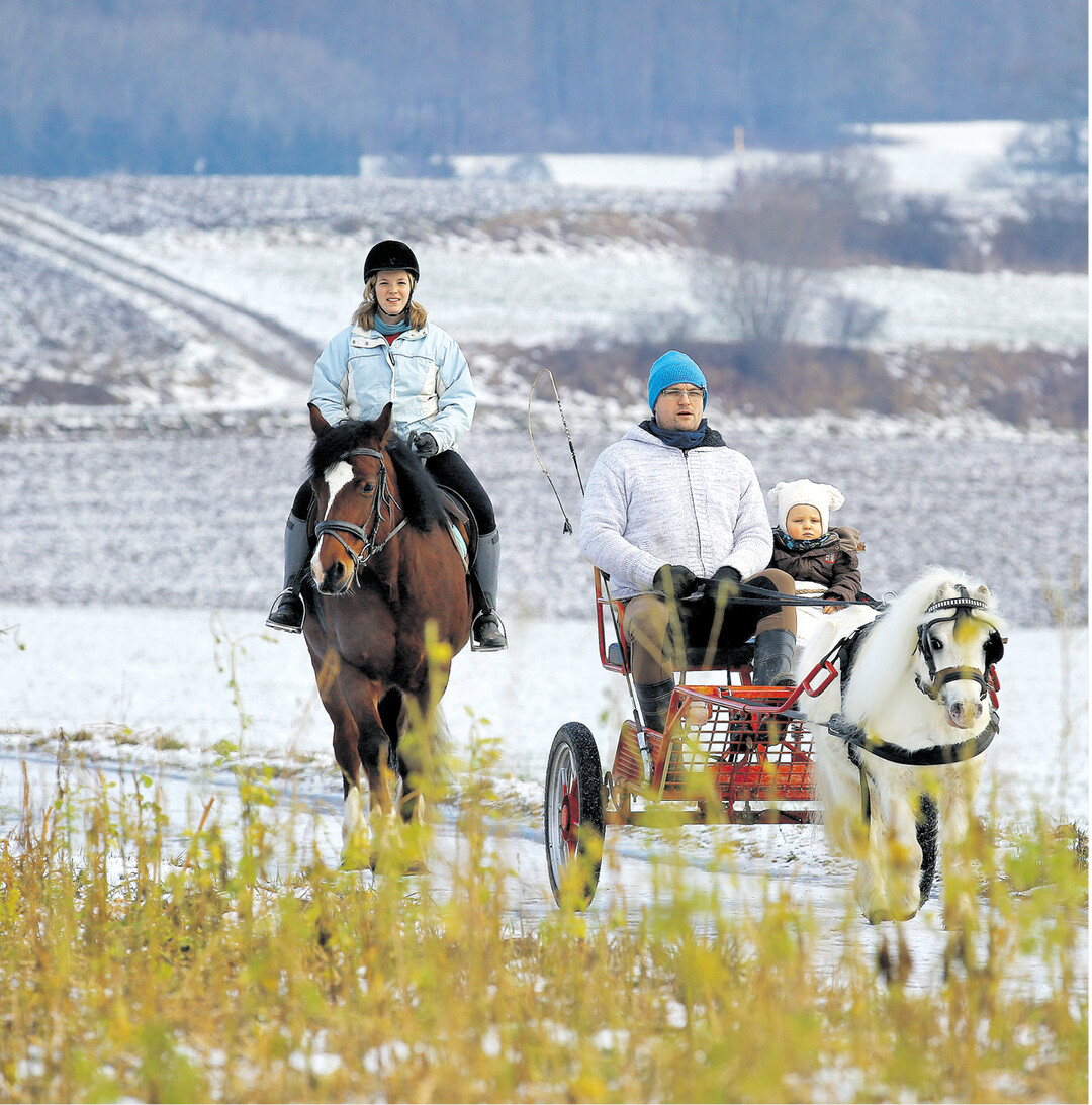 bild der woche Jasmin und Matthias Manz mit Sohn Manuel genießen am 8. Januar 2016 Ausritt und Kutschfahrt mit Pony bei Andelfingen im Landkreis Biberach. Dieses Wochenende können sie vielleicht den Schlitten zur Ausfahrt anspannen.