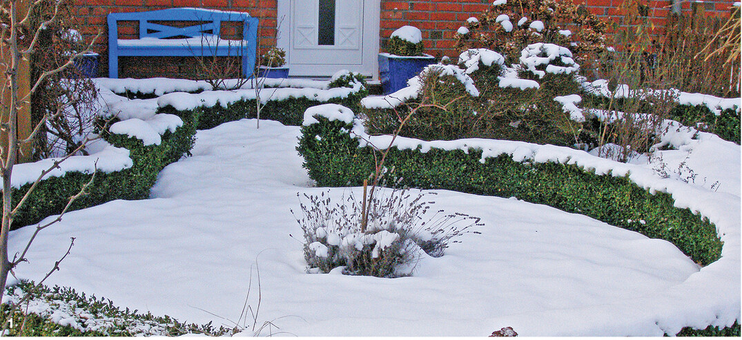 Niedrige Buchsbaumhecken bilden im winterlichen Garten ein schönes Rondell.