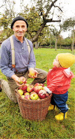 Die Bio-Musterregion Biberach unterstützt Besitzer von Streuobstwiesen bei der Bio- Zertifizierung.