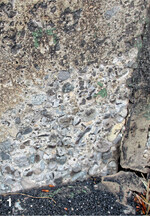 Stark angegriffene Wand mit offen liegenden Steinen, die nach einer Sanierung ruft.