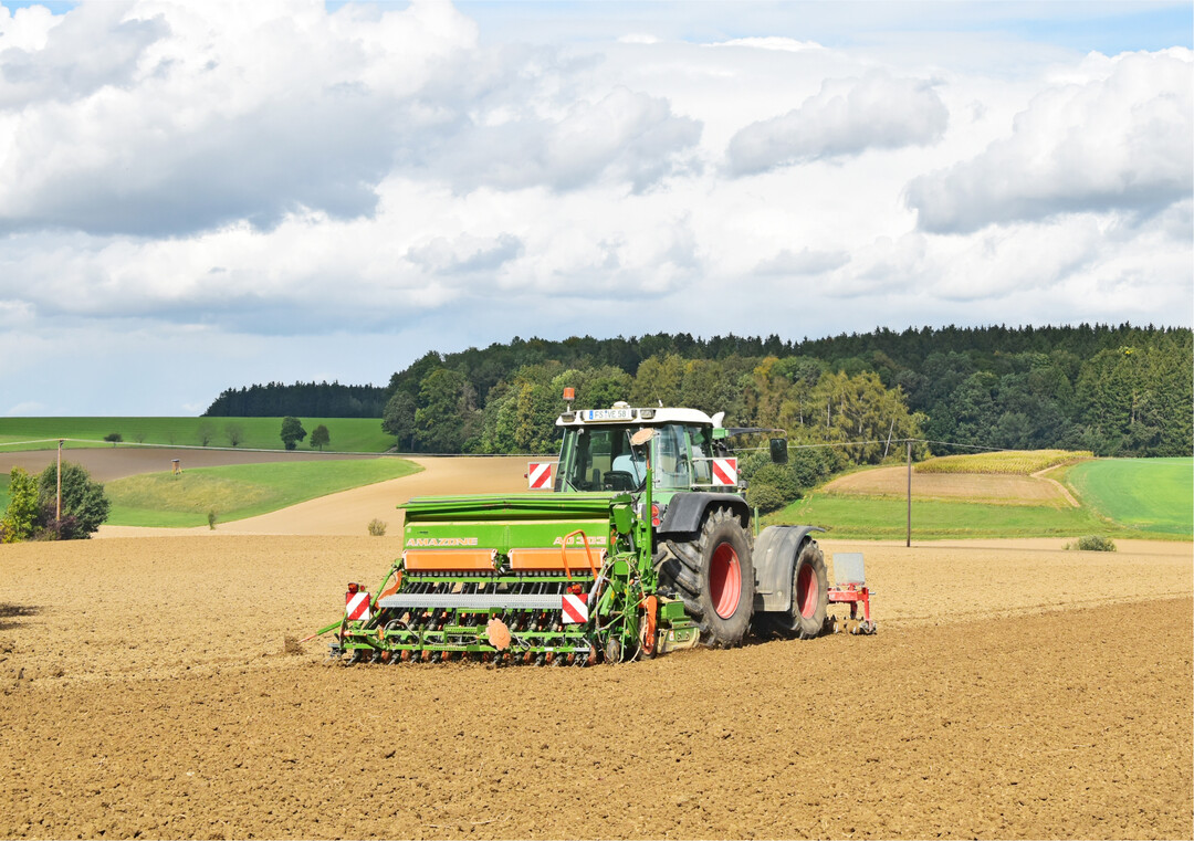 Beim Sen sollte die vernderte Fliefhigkeit des gebeizten Saatguts in der Maschine bedacht werden.