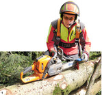 Mit dem richtigen Werkzeug und etwas Übung gelingt die Kettenschärfung auch beim Arbeitseinsatz im Wald.