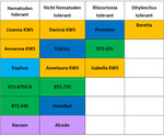 Regionale Sortenempfehlung 2019, sortiert nach Sortentyp. Farben kennzeichnen die Züchter. Gelb: KWS; dunkelblau: Strube; hellblau: Syngenta (früher), jetzt Hilleshög; grün: Betaseed; violett: SESVanderHave.