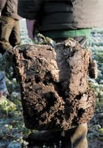 Die ersten Bodenproben starten bald. Vorerst kann man mit Mittelwerten rechnen.