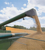 Der Getreidemarkt ist weltweit in Bewegung gekommen. Die Preise stehen ausnahmsweise nicht unter Druck. Im Gegenteil.