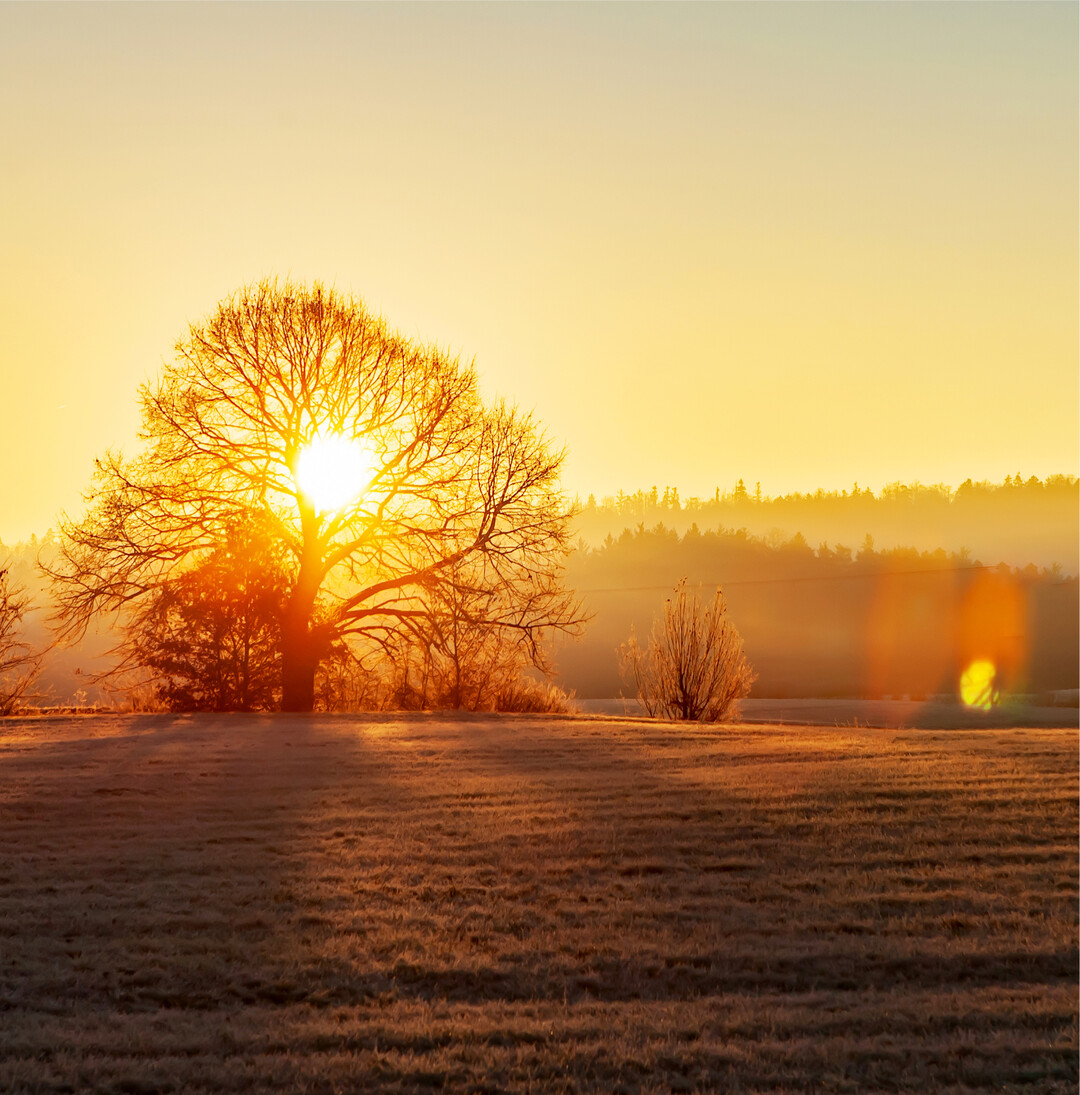 Sonnenaufgang in Frankenhardt im Landkreis Schwäbisch Hall. Reinhard Hassel machte bei eisigen Temperaturen von minus sechs Grad Celsius dieses stimmungsvolle Foto.