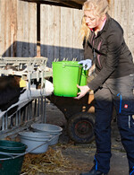 Bekommen Kälber genügend Milch, zeigen sie weniger unruhiges und auffälliges Verhalten, die Organe bilden sich schneller aus und die Gewichtszunahme verbessert sich.