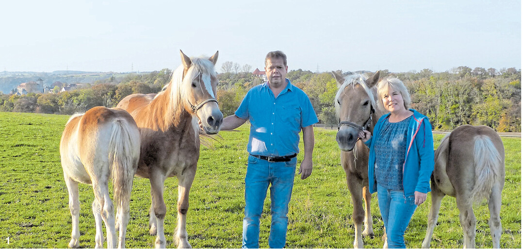 Jochen und Karin Fellmann halten in Vogelsberg, hoch über dem Kochertal nahe Kocherstetten gelegen, ihre 20-köpfige Herde mit robusten Haflingern zur Gewinnung von Stutenmilch.