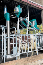 Mit der Kuhtoilette der niederländischen Firma Hanskamp kann der Harn von Kühen direkt aufgefangen und separiert werden. Das senkt die Ammoniakbelastung im Stall.