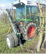 Bei starkem Baumwachstum kann mit einem Wurzelschnitt korrigierend eingegriffen werden.