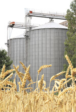Preissprünge an den Börsen werden vom Landhandel vermehrt eins zu eins an die Landwirte weitergegeben.