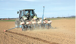 Bei der Maisaussaat auf eine konstante Ablage der Körner hinsichtlich der Tiefe und beim Abstand achten. Nicht zu schnell fahren.