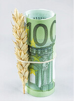 Der feste Euro bremst Getreideverkäufe in Drittländer. Die unverkaufte Ware drückt im Inland auf den Markt. Damit bleiben auch die Mischfutterpreise moderat.