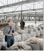 In der Wollsortierhalle einer südafrikanischen Vermarktungsgenossenschaft.