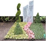 Dieses Grab wurde mit zwei Sorten des Spindelstrauches bepflanzt.