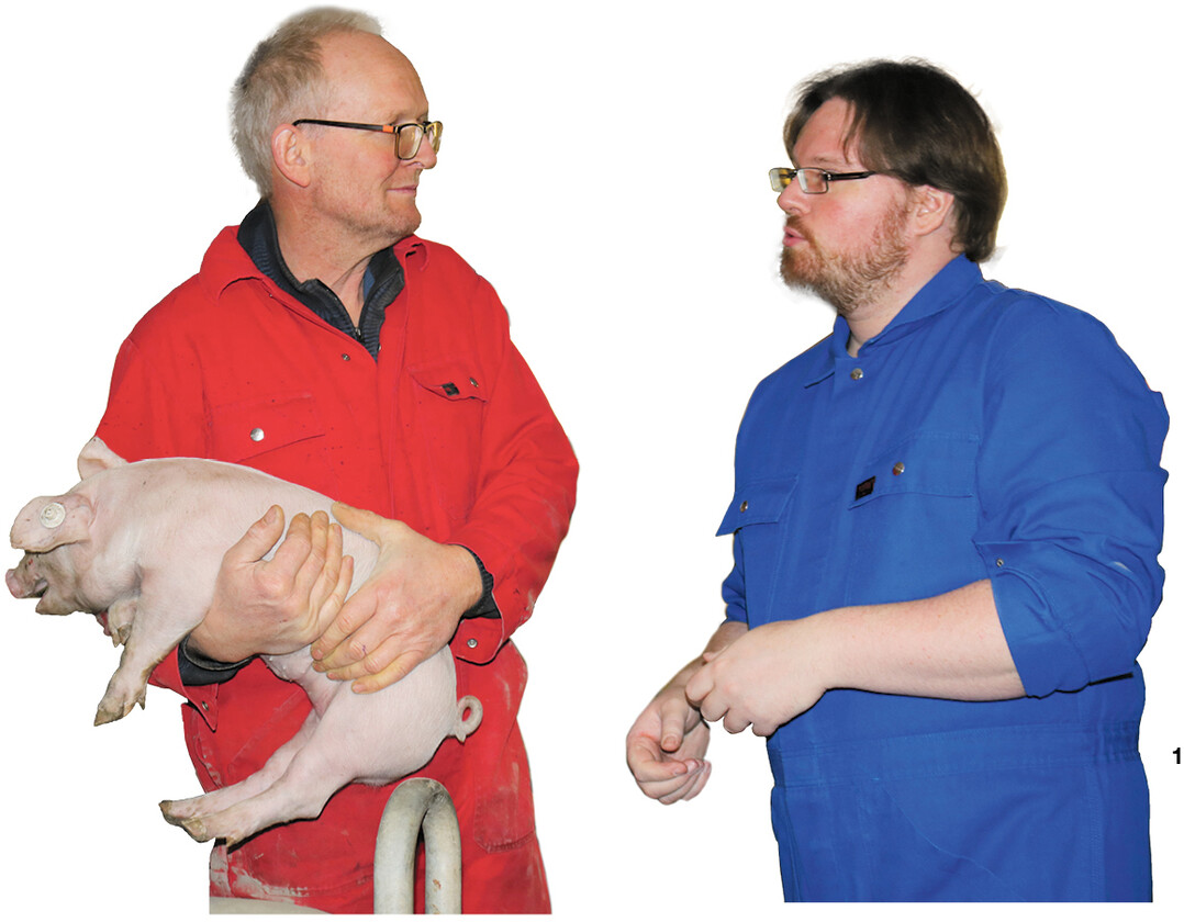 Wir sehen uns den Gesundheitszustand der Ferkel genau an, bevor wir entscheiden, welche Würfe versuchsweise nicht kupiert werden", erläutert Schweinehalter Rainer Müller (l.). Damit, so LSZ-Mitarbeiter Dr. Frederik Löwenstein, werde die Entzündungslast bei den Ferkeln erfasst und beurteilt.