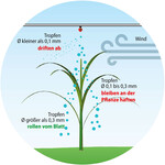 Tropfen sollten größer als 0,3 mm sein, um vom Blatt abzurollen.