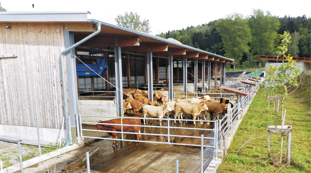 Mehrraumstall mit Auslauf und Scheuerbürsten (www.eip-rind.de).
