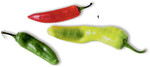 Die feurige Schote ist auch in Deutschland ein großer Trend. Die Schärfe nimmt von der Spitze bis zum Stielende hin zu.