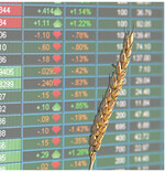 An den Börsen suchen die Weizenpreise gerade ihre Richtung. Dass China die Strafzölle auf US-Importe senkt, hilft dem Handel, was sich dann auch positiv auf die Preise auswirken könnte.