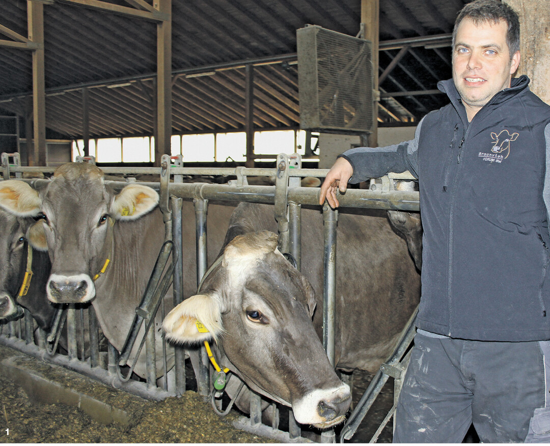 „Alle Kühe können lange viel Milch geben. Ob sie das tun, hängt von den Menschen ab, die sie betreuen", ist Braunviehzüchter Jürgen Held überzeugt. Der Landwirt aus Ulm-Donaustetten gehört zu den erfolgreichsten Züchtern im Land.