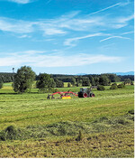 Wer die Selengehalte im Futter über die Düngung verbessern will, sollte zu den ertragsstärksten Schnitten düngen.