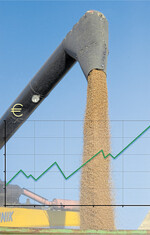 Die Preise für Getreide sind in Südwestdeutschland gegenwärtig um ein Viertel höher als vor einem Jahr.