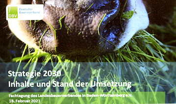  Die Milchbranche will knftig noch mehr an einem Strang ziehen: Preisgesprche mit dem Handel und neue Standards fr Tierwohl und Nachhaltigkeit beschftigen Milcherzeuger und Molkereien im Land.