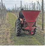 Baumobst braucht den Stickstoff im Frühjahr.