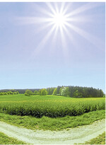 Unterschiedliche Lebenskonzepte können zusammenführen oder auch auseinandergehen. Je nachdem, in welche Richtung man sich bewegt.