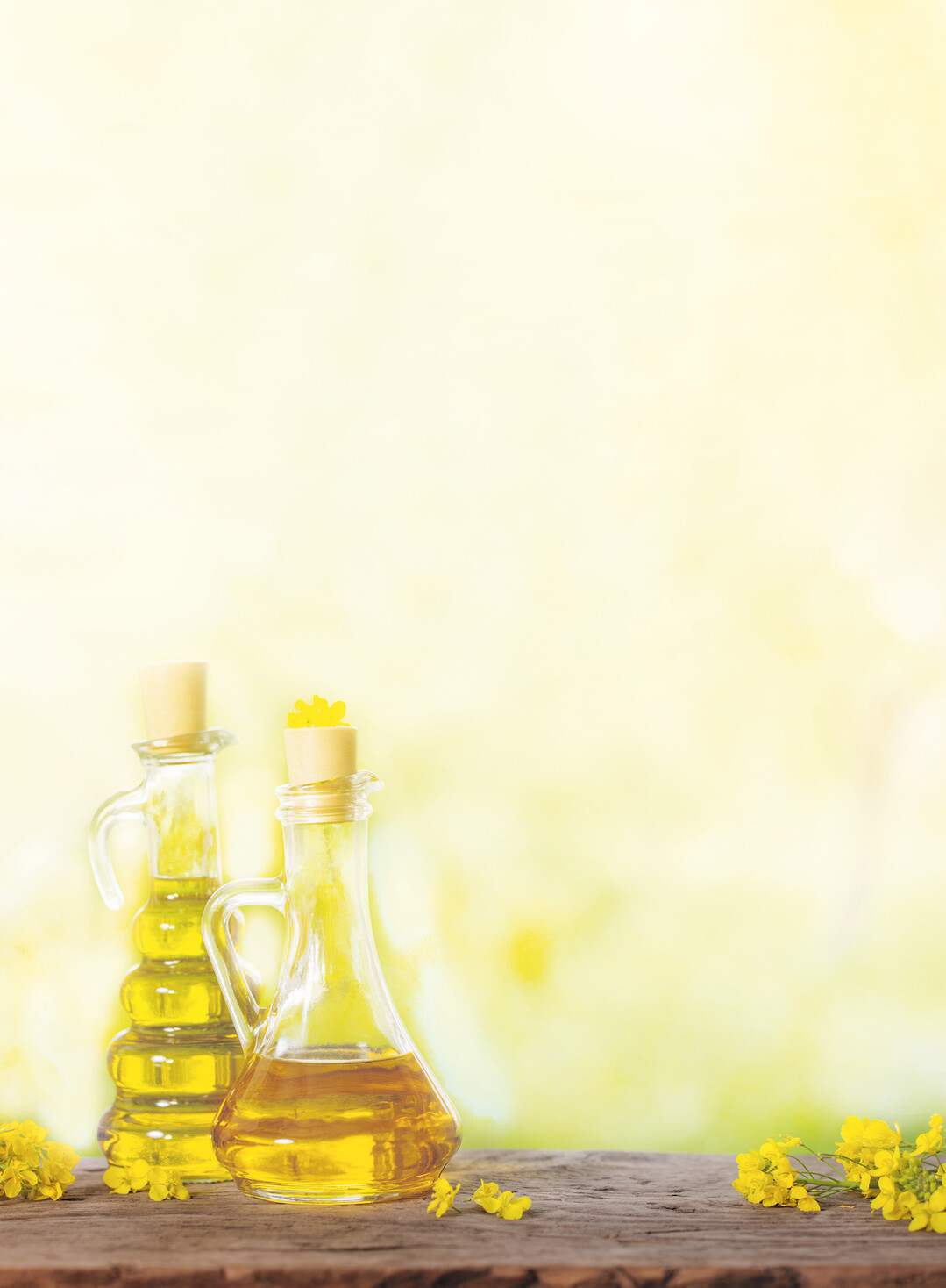 Rapsl sollte wegen seines Anteils an wertvollem Omega-3-Fett nicht zu stark erhitzt werden.