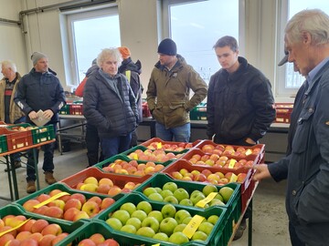 Aus einer Vielzahl von Sortenneuheiten gilt es bei der Sortenprüfung und angeschlossener Verkostung interessante Neuheiten für das Anbausortiment herauszufiltern.