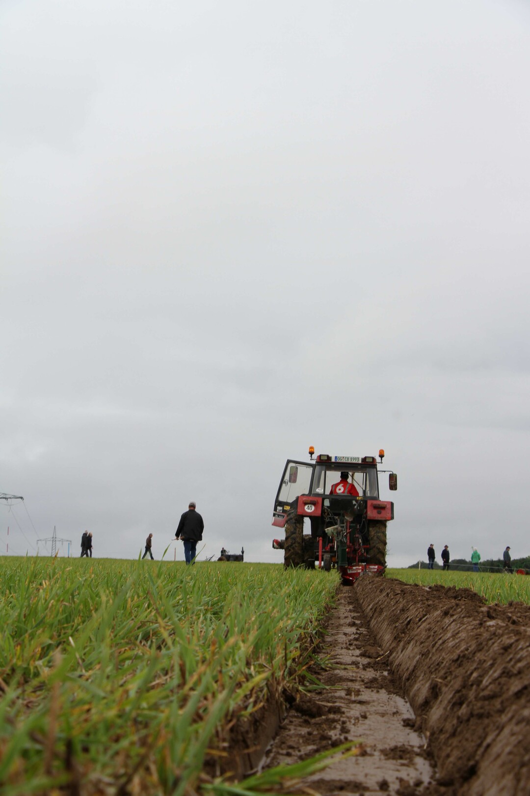 Der Sieger im Beetpfl�gen: Carsten Berl