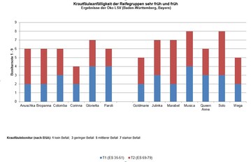 Krautfuleanflligkeit der geprften frhen und sehr frhen Sorten aus dem Landessortenversuch ko.