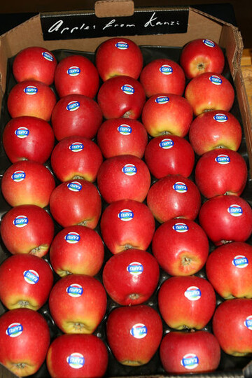 Die Clubsorte Kanzi f�llt von Jahr zu Jahr immer mehr Obstkisten, nachdem nach intensiver Pflanzt�tigkeit die Anlagen nun verst�rkt in den Ertrag kommen. 