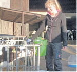 Kälber benötigen genügend Milch, am besten ad libitum.