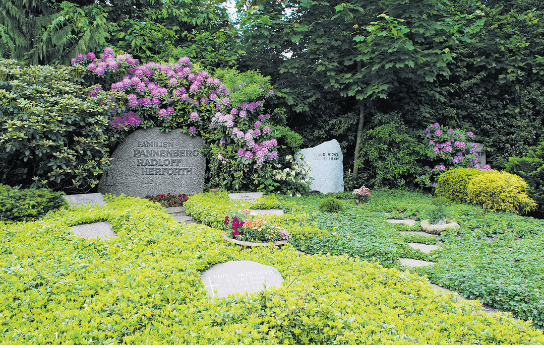 Rhododendren zählen wie die Heidepflanzen zu den Moorbeetpflanzen mit besonderen Ansprüchen an den Boden.