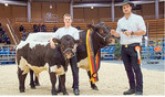 Pinzgauer Siegerkuh Sofi mit Kalb von Familie Leibold aus Meßstetten.