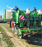 Mit 36.000 Knollen der Sorte Annabelle starteten Klaus und Simon Moser aus Lauffen am Neckar in die Frühkartoffelsaison.