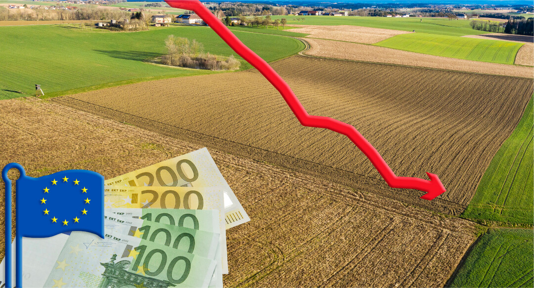 Die neue GAP wirft viele Fragen auf. Fallende Direktzahlungen sollte man versuchen, mit koregelungen auszugleichen.